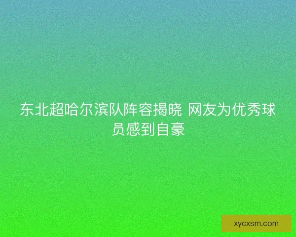 东北超哈尔滨队阵容揭晓 网友为优秀球员感到自豪